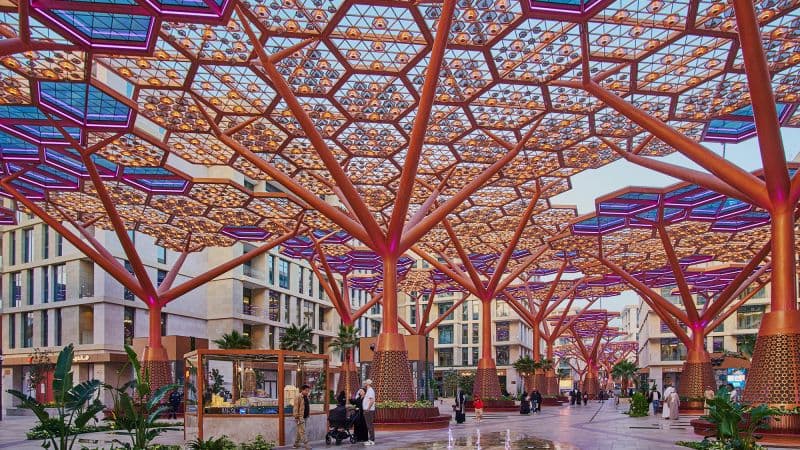 Qatar's Coolest Oasis: An Air-Conditioned Forest