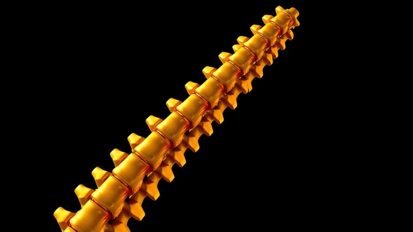 Blind Side Actor's Health Improves Dramatically