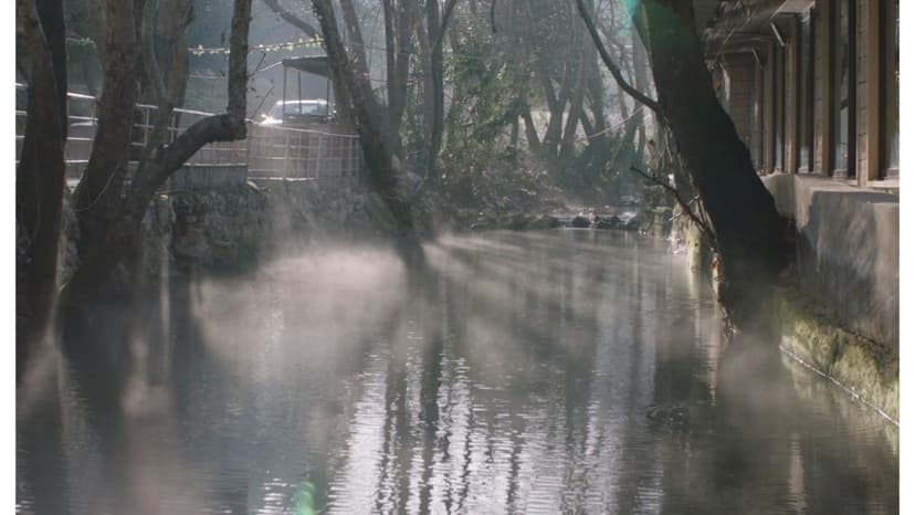 Qumra Film Fest Goes Digital Amidst Regional Conflict