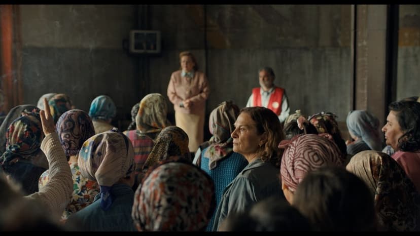 'Quo Vadis, Aida?' Sequel: Search for Lost Sons Begins