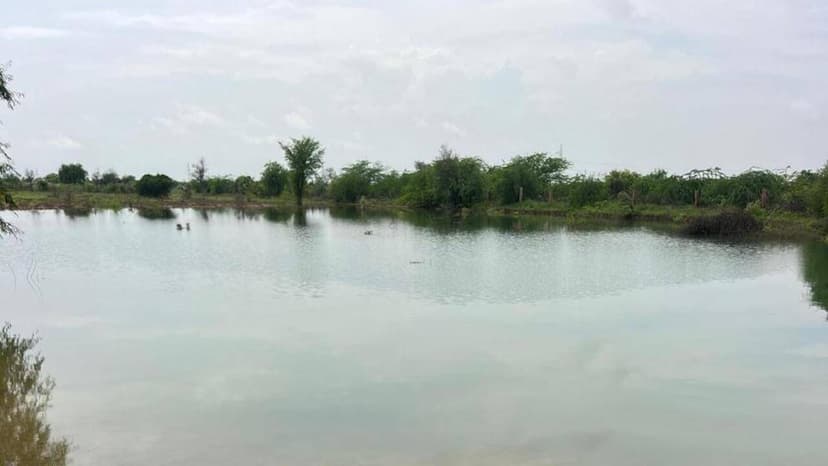 SC Blasts Rajasthan Govt: Chief Secy Held Liable for River Pollution