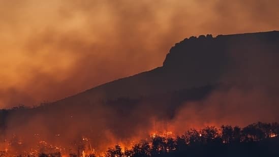 Ramona Wildfire Spreads Dangerously Fast