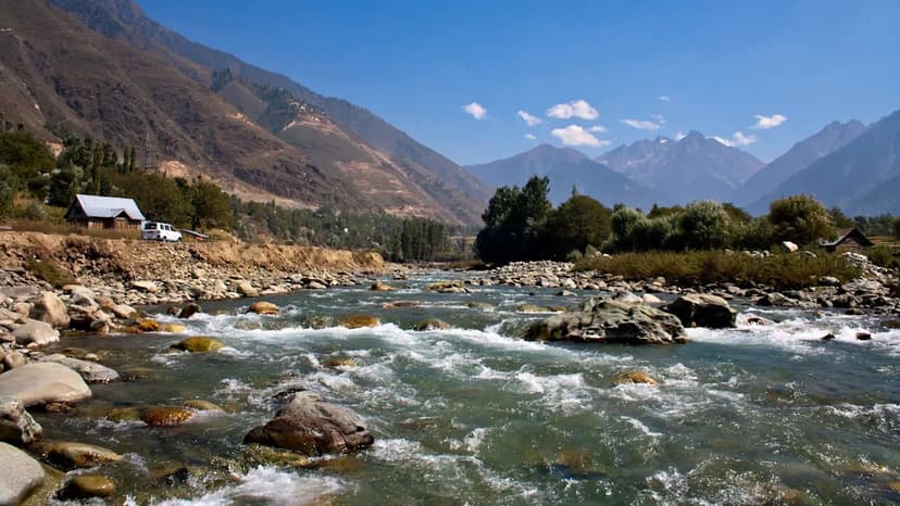 Rare Otter Sighting Sparks Hope in Kashmir