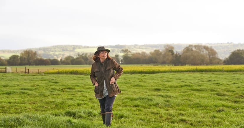 Rare Butterfly Returns: Large Tortoiseshell Sighted in England!
