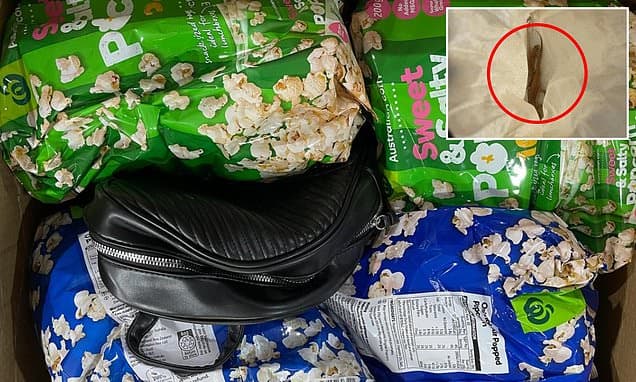 Reptile Smuggler Gets Record 8 Years in Jail