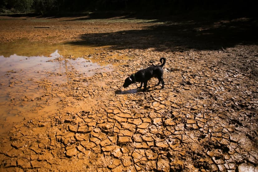 Record El Niño Shatters Climate Records, Global Impacts Imminent