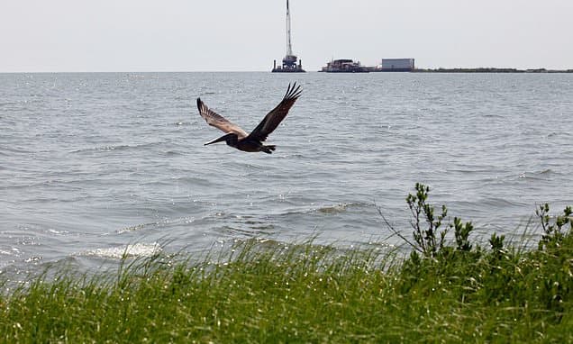 Record Fine for Louisiana Oil Spill