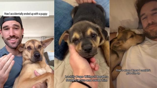Rescue Pup Finds Forever Home by Chance