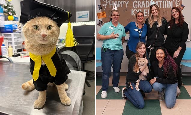 Cat Survives Coyote Attack, Graduates Quarantine