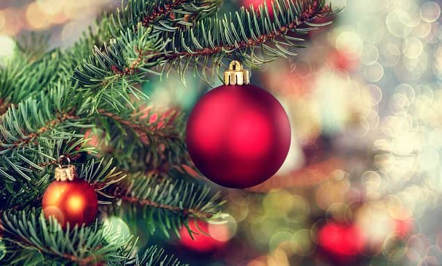 DIY Stores Ban Festive Cheer on Shop Floors