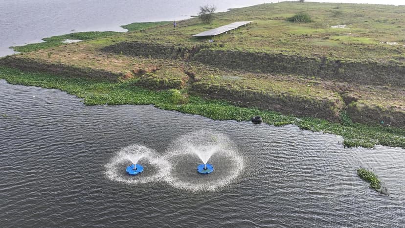 Chennai Lake Revived: Solar Power & Eco-Tourism Boost