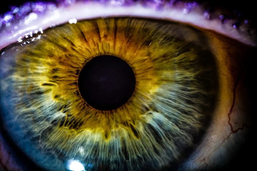 Future of Sight: Can We Reverse Blindness?