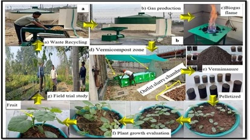 RGIPT Turns Waste Into Gold!