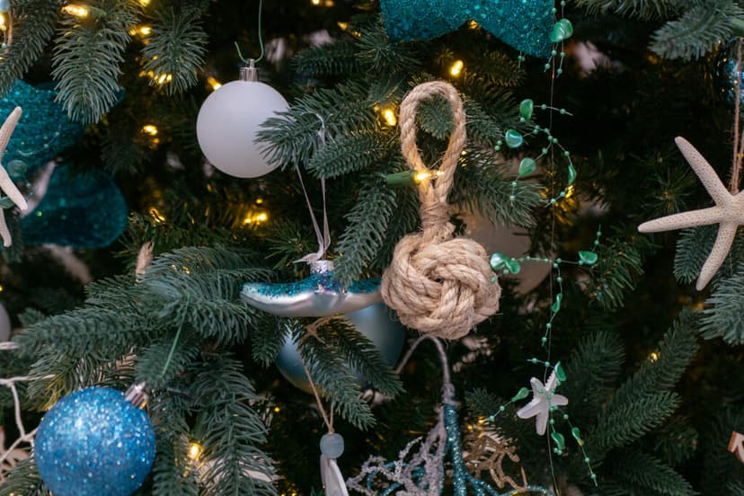 Rhode Island: Christmas Trees Boost Fish Habitat