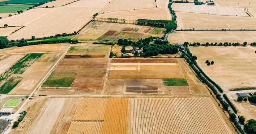 Gardens Brace for Drought: Water Capture is Top Priority