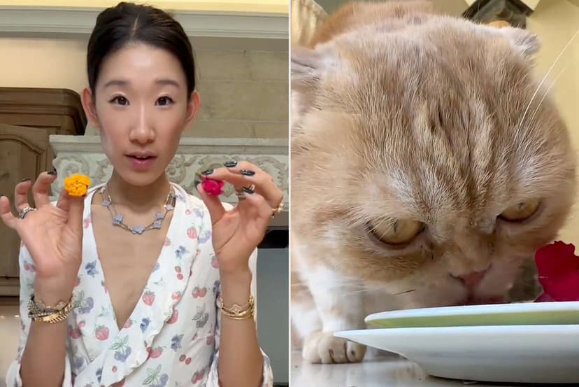 RichTok Star Feeds Cat Sushi & Caviar Daily