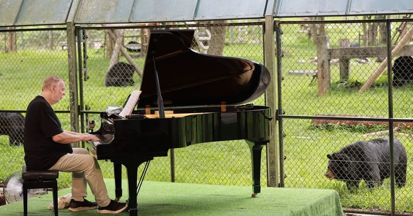 Rick Wakeman's 'Extraordinary' Concert for Rescued Bears