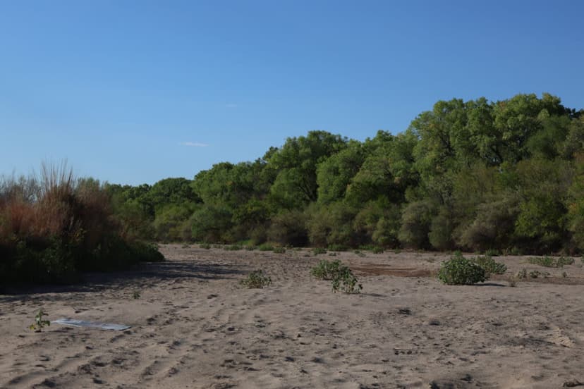 Rio Grande Runs Dry: Historic Drought Threatens Vegetation