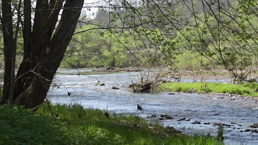Dams Gone, Rivers Roar Back to Life