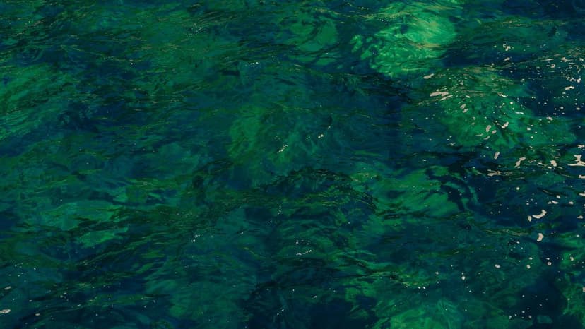 Rivers Reborn: From Toxic Wasteland to Vibrant Waterways