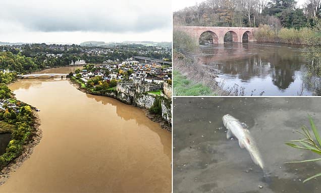Chicken Farms Choke Britain's Most Beautiful River