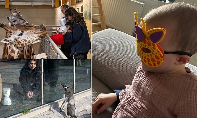 Robots Bring Zoo to Sick Kids' Bedsides