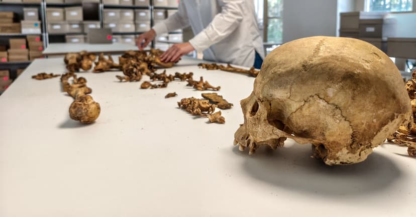 Roman Empire's Fall: Genes Reveal Peaceful Integration