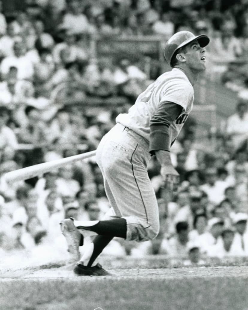 Ron Hunt: Baseball's Warrior, Hit by 243 Pitches