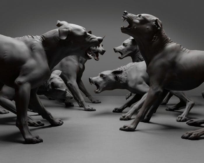 Ron Mueck: Hyperreal Art That Stuns Australia