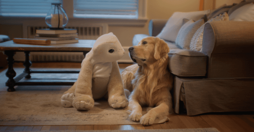 Roomba Creator's New AI Pet: A Familiar?