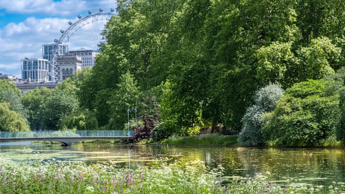 Royal Parks Get a Makeover: Horticulture is Back!