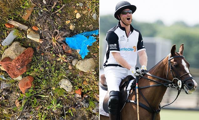 Harry's Old Club Faces Pollution Row