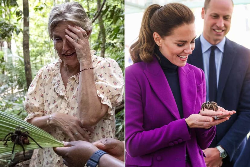 Royals Face Off with Giant Spiders: Kate Charmed, Sophie Hesitant