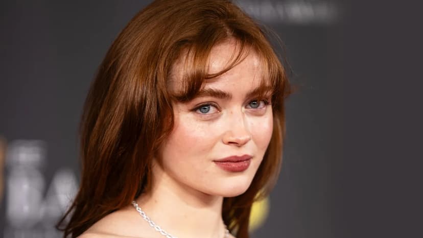 Sadie Sink Stars in FX's 'Marriage Plot' Adaptation