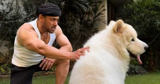 Salman Khan's Pet 'Sukh' Steals Hearts Online
