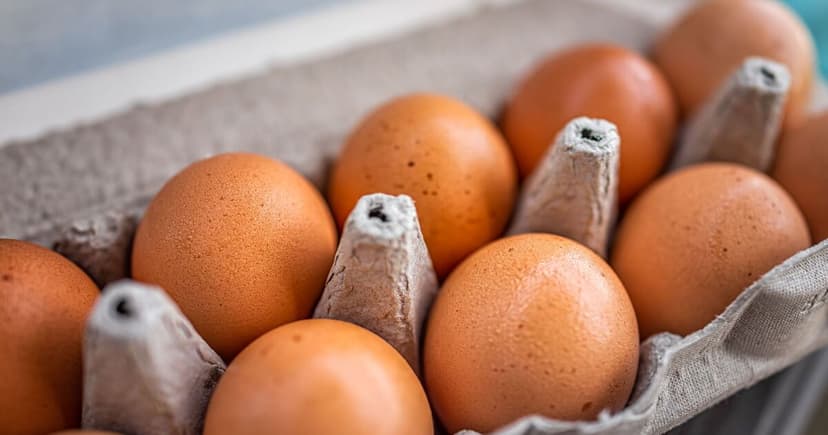 Salmonella Scare: Ukrainian Eggs Recalled