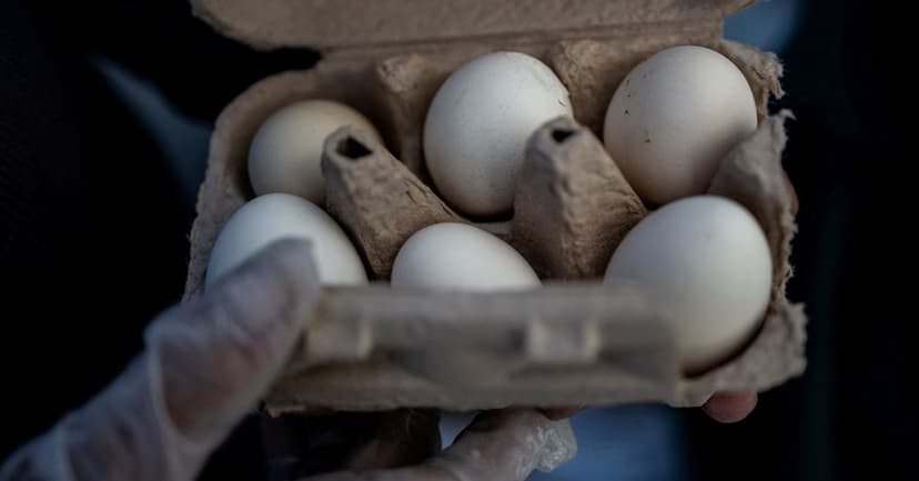 Millions of Eggs Pulled Over Salmonella Fears