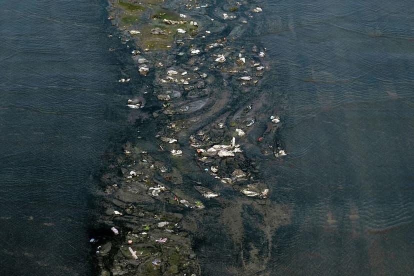 Toxic River Pollution Sparks Plea for Emergency Declaration