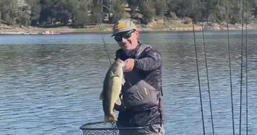 Boats Return to San Pablo Reservoir After Mussel Scare
