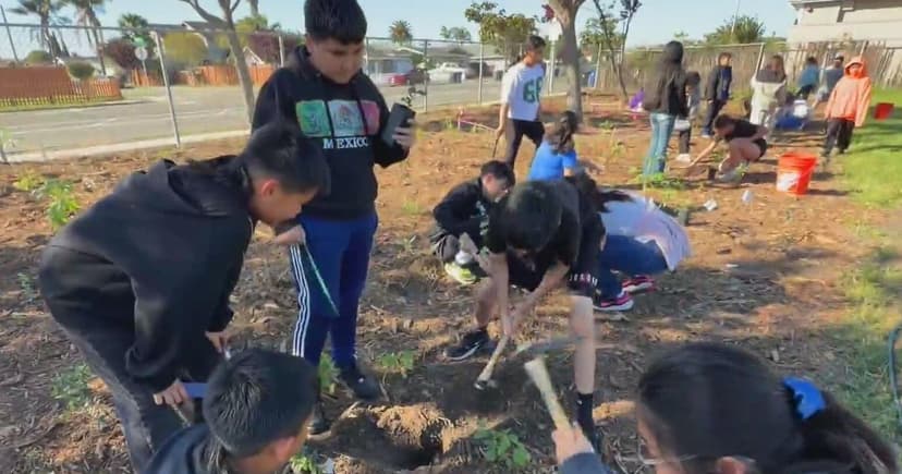 Schilling Elementary's Green Revolution Takes Root