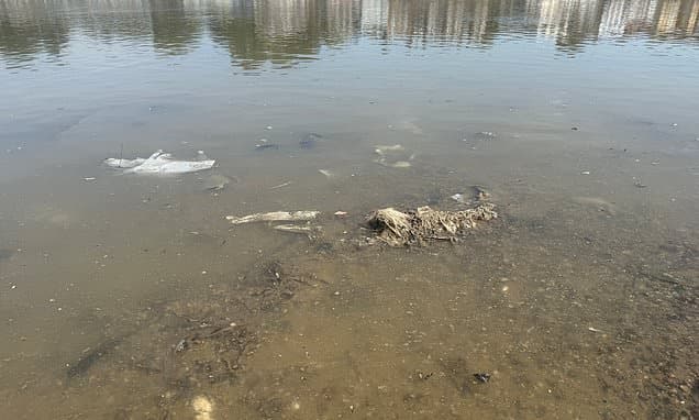 Scotland Bans Plastic Wet Wipes Next Year!