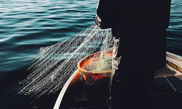 £10,000 Per Fish: Scotland's Drastic Move Against Salmon Poaching