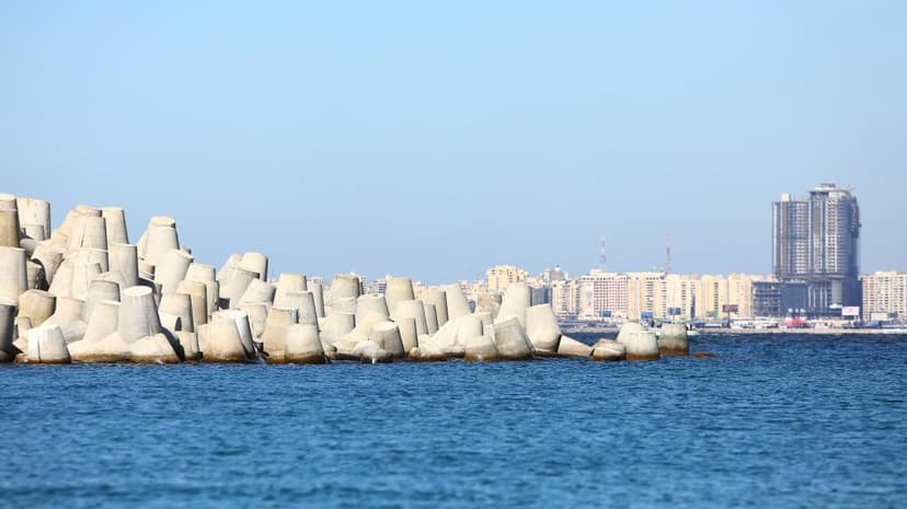 Sea Level Rise Threatens 45% of Vertebrate Species