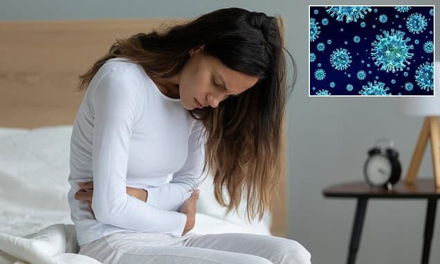 Seaweed: A New Weapon Against Norovirus?