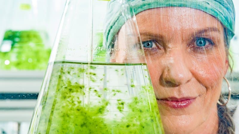 She Said Seaweed Could Save the World. Here's How.