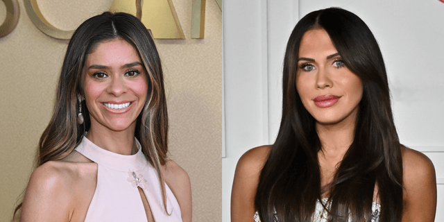 Mormon Wives Production Halts Amidst Taylor Drama