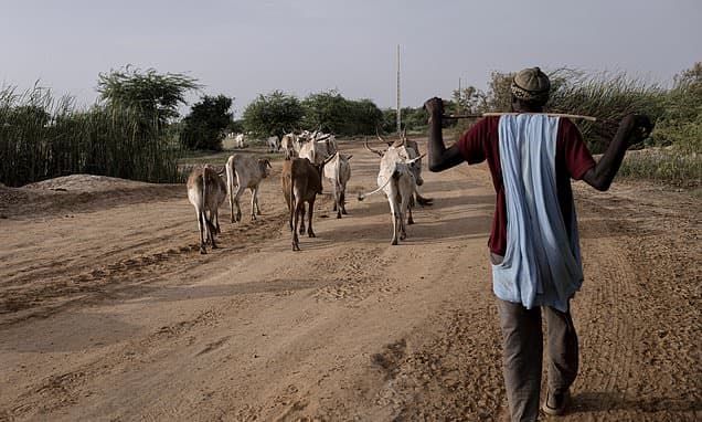 Climate Fuels Farmer-Herder Deadly Conflict in Senegal