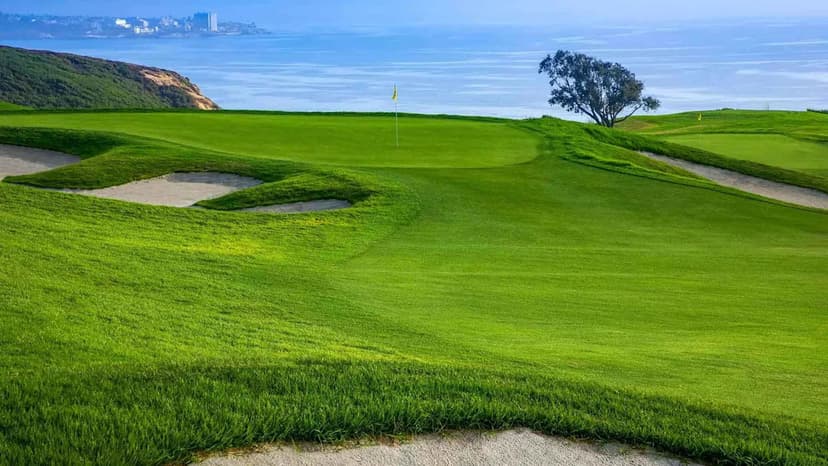 Sentry Takes Over PGA Tour Event at Torrey Pines