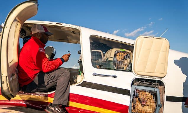 117 Rescued: Seuk's Army Honors Pilot with Record Airlift