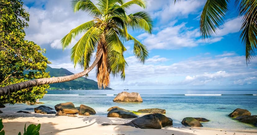 Seychelles: Travelers Face High Chikungunya Risk